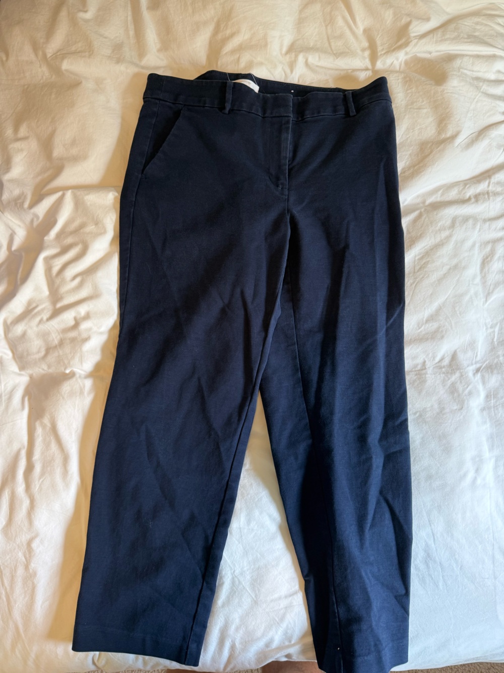 Loft Women’s Navy Pants
